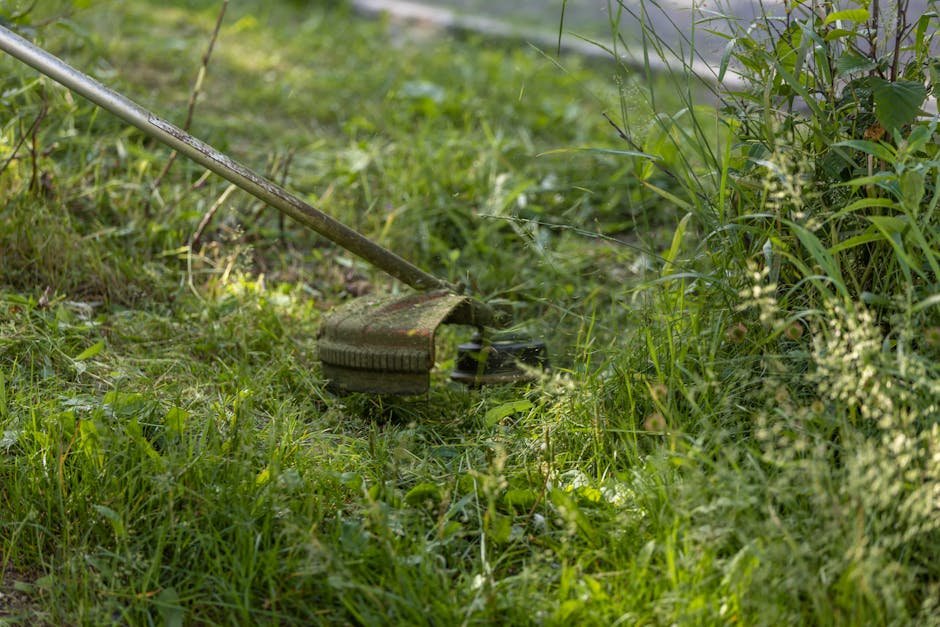 Najbolje Glave za trimer