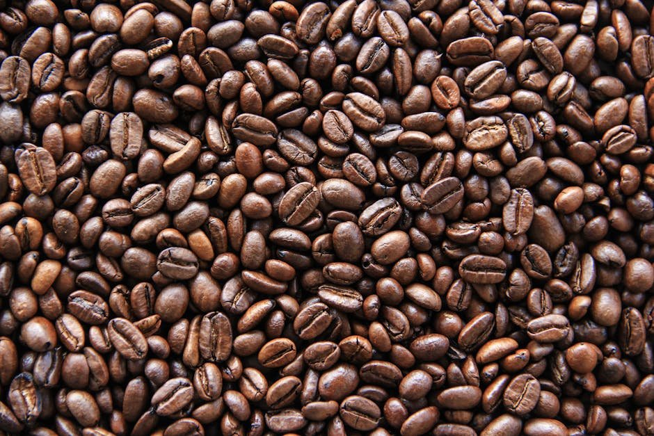 Najbolja Kafa